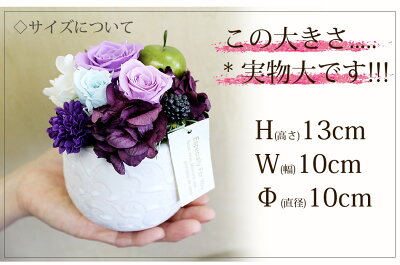 【新商品】プリザーブドフラワー「ココット」【誕生日プレゼント女性花ギフトプレゼント結婚祝い出産祝い退職祝い合格祝い卒業祝い結婚記念日誕生日花送料無料翌日配達あす楽14時迄】