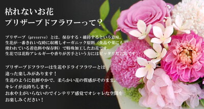 【花ギフトあす楽】プリザーブドフラワー和風プリザシリーズ「日和ひより」【誕生日花アレンジ誕生日プレゼント女性花ギフト送料無料和風プリザ和風インテリア飾り方2通りお祝い】【RCP】