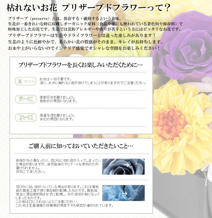 楽天市場 和風 プリザーブドフラワー しおん 紫苑 枯れないお花 花 ギフト 誕生日 プレゼント 女性 男性 古希 喜寿 卒寿 お祝い 誕生日プレゼント 長寿お祝い 和風プリザ 送料無料 花フラワーギフト専門店パラボッセ