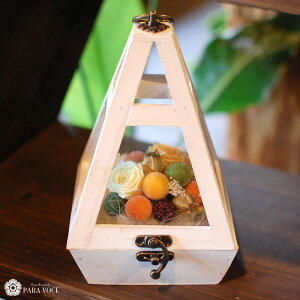 vU[uht[ eE a Mtg  AWt[zj 蕨 ԃMtg  av[g Mtg a ސEj v[g  j v[g 