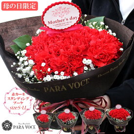 【母の日 超早割 最大10％OFF】2026 母の日 プレゼント 母の日 カーネーション 花束 そのまま飾れる 花 ギフト 赤いカーネーションのスタンディングブーケ 選べる サイズ S～LLサイズ ははの日 スイーツ セットも 赤 母の日ギフト おしゃれ 花瓶がいらない 生花 送料無料
