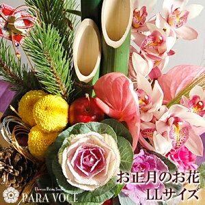 ŒZzB wOK AWg _   ܂ AWg LLTCY   AW  Vt  AWg  }tAW AW