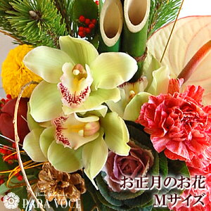 ̉ Vt  AWg  ܂ AWg MTCY    }tAWg AW }tAW  AW a 叼  