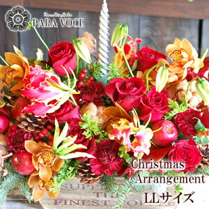 ܂t[AWg@NX}XAW LLTCYiڂELhtjLhAW y Mtg NX}Xv[g NX}XMtg 蕨 NX}X 