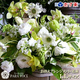楽天市場 フラワーアレンジメント 種類 植物 アンスリューム 花 観葉植物 花 ガーデン Diy の通販