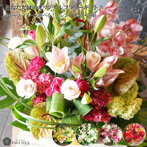 J J@ ړ] ŒZzB I[_[Ch t[AWg ԑ \Z30,000~ a  Mtg JXj JX I[v av[g LO j AWgt