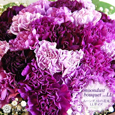 楽天市場 花 ギフト 花 誕生日 ムーンダストの花束 Ll 48本 花瓶が要らない花束 古希 お祝い 花 カーネーション プレゼント スタンディングブーケ 誕生日プレゼント 記念日 古希 古稀 喜寿 卒寿 退職祝い 女性 男性 青 紫 生花 花ギフト おしゃれ 花フラワー