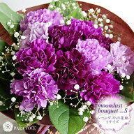 古希 喜寿 卒寿 お祝い カーネーション ムーンダストの花束(S 12本) そのまま飾れるブーケ 花束 敬老の日…