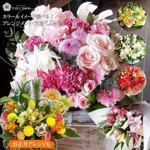 JXj  I[_[Ch t[AWg ԑ LLTCY G߂̉ a  JX I[v v[g ԃMtg W W J@j   AW ԃAW