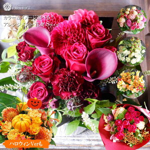 ŒZzB JX I[v  Mtg I[_[ t[AWg ԑ LTCY JXj G߂̉ HAW a  av[g ސEj nEB o  W 