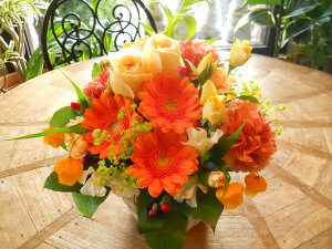 IWit[AWgSTCY No.S02 a v[g  Mtg j oYj ސEj  AWt[ j LO 蕨 IW   