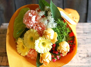 IWit[u[P ԑSTCY No.S04 pX^C a \ LO j ސEj j r^~J[ u[P pX^C ͂w 