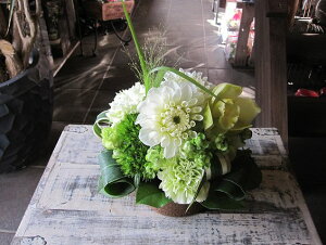 IWit[AWgSTCY+1000~\ZAbv@No.S100 a v[g  Mtg j oYj ސEj  AWt[ j LO 蕨 O[  