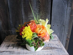 IWit[AWgSTCY@No.S101 a v[g  Mtg j oYj ސEj  AWt[ j LO 蕨 CG[ IW F   