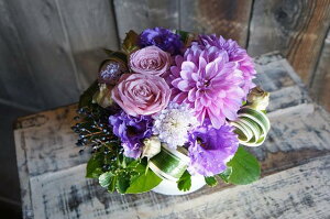 IWit[AWgSTCY+1000~\ZAbv@No.S107 a v[g  Mtg j oYj ސEj  AWt[ j LO 蕨 p[v  