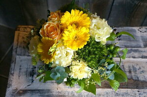 IWit[AWgSTCY@No.S109 a v[g  Mtg j oYj ސEj  AWt[ j LO 蕨 CG[ F   