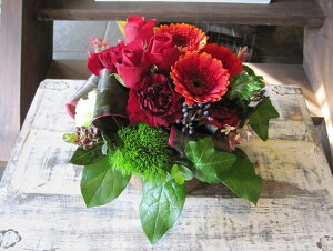 IWit[AWgSTCY No.S113 a v[g  Mtg j oYj ސEj  AWt[ j LO 蕨 bh    