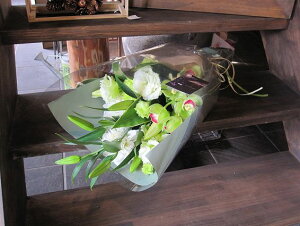 IWit[u[P ԑSTCY+1000~\ZAbv No.S115 a v[g  Mtg \ LO Ǝ LO  } j ސEj j 蕨 zCg 