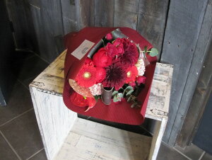 IWit[u[P ԑSTCY+1000~\ZAbv No.S116 pX^C a \ LO j ސEj j bh  u[P pX^C ͂w 