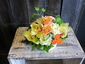 IWit[AWgSTCY+1000~\ZAbv No.S119 a v[g  Mtg j oYj ސEj  AWt[ j LO 蕨 CG[ I