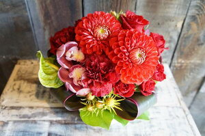 IWit[AWgSTCY+1000~\ZAbv No.S121 a v[g  Mtg j oYj ސEj  AWt[ j LO 蕨 bh   