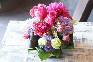 IWit[AWgSTCY+1000~\ZAbv No.S124 a v[g  Mtg j oYj ސEj  AWt[ j LO 蕨 sN p[v