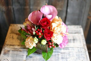 IWit[AWgSTCY+1000~\ZAbv@No.S131 a v[g  Mtg j oYj ސEj  AWt[ j LO 蕨 bh sN 