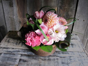 IWit[AWgSTCY+1000~\ZAbv No.S136 a v[g  Mtg j oYj ސEj  AWt[ j LO 蕨 sN   