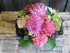 IWit[AWgSTCY+1000~\ZAbv No.S137 a v[g  Mtg j oYj ސEj  AWt[ j LO 蕨 sN p[v