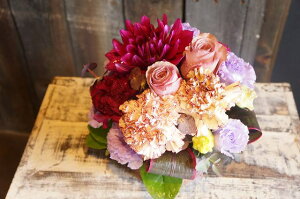 IWit[AWgSTCY+1000~\ZAbv No.S140 a v[g  Mtg j oYj ސEj  AWt[ j LO 蕨  p[v 