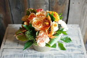 IWit[AWgSTCY+1000~\ZAbv@No.S141 a v[g  Mtg j oYj ސEj  AWt[ j LO 蕨 CG[ F 