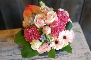 IWit[AWgSTCY+1000~\ZAbv No.S23 a v[g  Mtg j oYj ސEj  AWt[ j LO 蕨 sN   