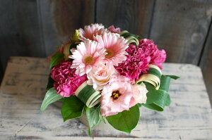 IWit[AWgSTCY No.S24 a v[g  Mtg j oYj ސEj  AWt[ j LO 蕨 sN   