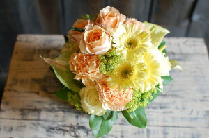 IWit[AWgSTCY No.S25 a v[g  Mtg j oYj ސEj  AWt[ j LO 蕨 CG[ IW F   