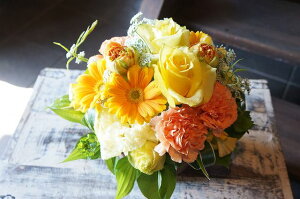 IWit[AWgSTCY+1000~\ZAbv@No.S54 a v[g  Mtg j oYj ސEj  AWt[ j LO 蕨 CG[ F 