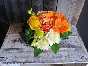 IWit[AWgSTCYNo.S55 a v[g  Mtg j oYj ސEj  AWt[ j LO 蕨 IW   