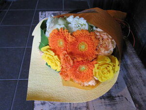 IWit[u[P ԑSTCY No.S59 pX^C a \ LO j ސEj j r^~J[ u[P pX^C ͂w 