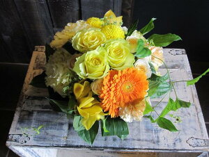 IWit[AWgSTCY+1000~\ZAbv@No.S60 a v[g  Mtg j oYj ސEj  AWt[ j LO 蕨 r^~J[