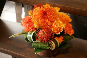 IWit[AWgSTCY+1000~\ZAbv No.S64 a v[g  Mtg j oYj ސEj  AWt[ j LO 蕨 IW  