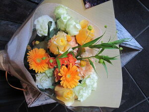 IWit[u[P ԑSTCY No.S69 a v[g  Mtg \ LO Ǝ LO  } j ސEj j 蕨 IW CG[ F 