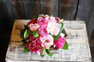 IWit[AWgSTCYNo.S80 a v[g  Mtg j oYj ސEj  AWt[ j LO 蕨 sN   