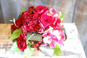 IWit[AWgSTCY+1000~\ZAbv@No.S83 a v[g  Mtg j oYj ސEj  AWt[ j LO 蕨 bh   