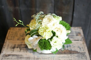 IWit[AWgSTCY@No.S84 a a v[g  Mtg j oYj ސEj  AWt[ j LO 蕨 zCg    