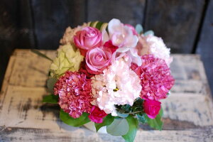 IWit[AWgSTCY+1000~\ZAbv@No.S89 a v[g  Mtg j oYj ސEj  AWt[ j LO 蕨 sN   