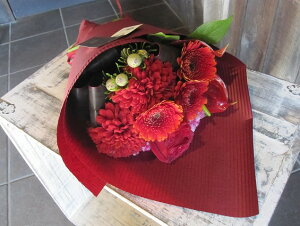 IWit[u[P ԑSTCY+1000~\ZAbv No.S99 pX^C a \ LO j ސEj j bh  u[P pX^C ͂w 