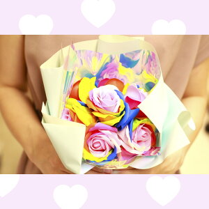 ʌy \[vt[ zMtg C{[t[ ( ̓ V{t[  Ό  ̓ p  j j  ސE 蕨   v[g )