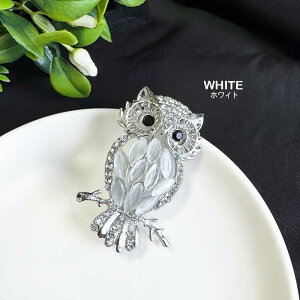 u[` tNE ӂ낤 J[Xg[  LL fB[X  Mtg obW `[ ~~YN  o[h yNbN|Xgz