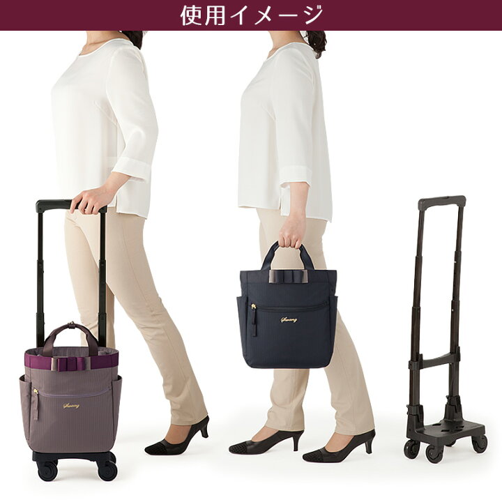 楽天市場】スワニー SWANY ルバンドミニ3 キャリーバッグ TS15サイズ D 