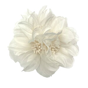 SiΏۃN[|zzI RT[W  wANbv p[ tH[}  w Ǝ  l KN  t[  u[` }} R[f i p[eB[ hX  