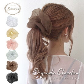 楽天市場 シースルー ヘアアクセサリー レディースジュエリー アクセサリー ジュエリー アクセサリーの通販
